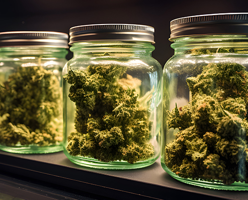 MC Spectrum Cannabis Flower + Prerolls MC Spectrum Cannabis Flower + Prerolls